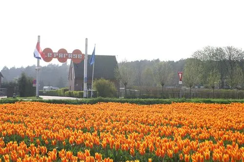 le-parage-noordwijk-noordwijk-aan-zee-926aq