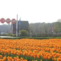 le-parage-noordwijk-noordwijk-aan-zee-926aq