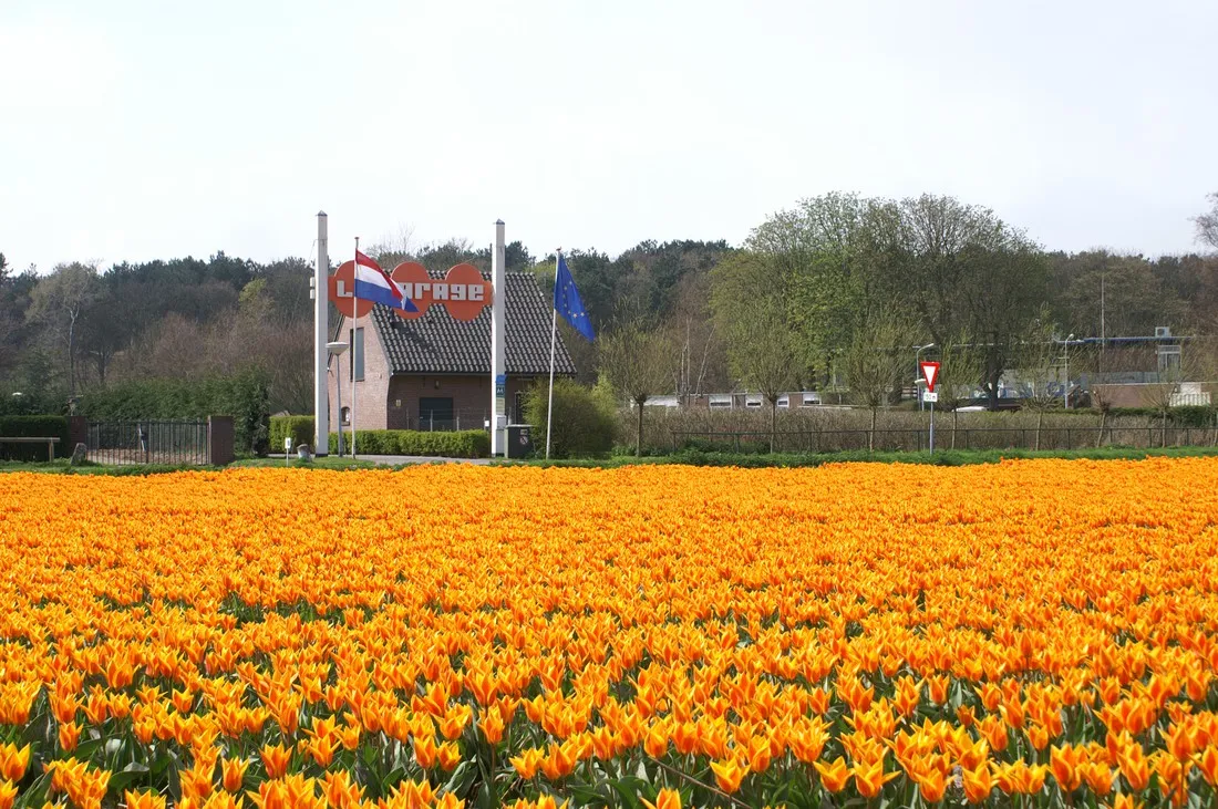 le-parage-noordwijk-noordwijk-aan-zee-zr7ig