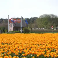 le-parage-noordwijk-noordwijk-aan-zee-zr7ig