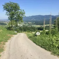 camp-podgrad-vransko-vransko-4ekpz