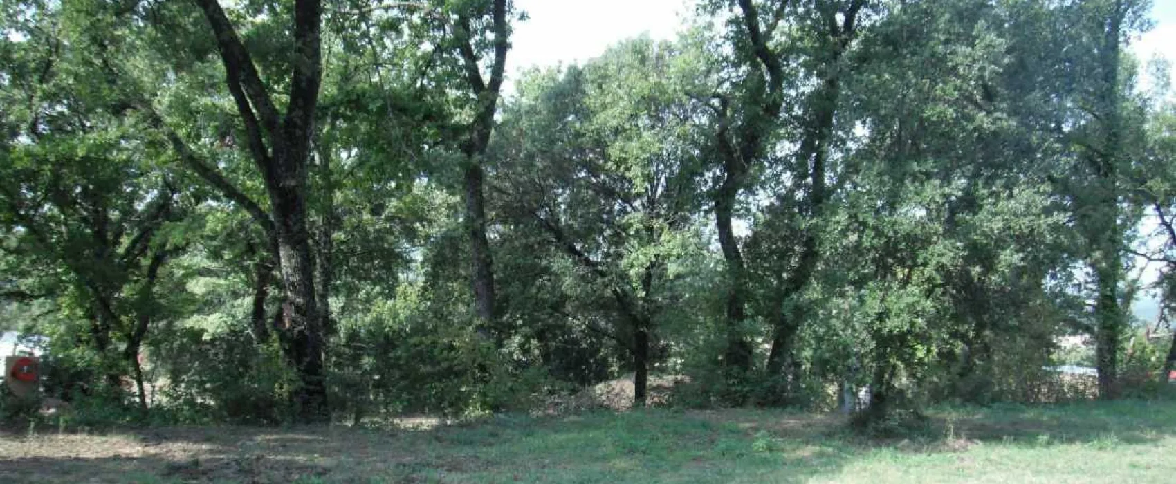 De la Colline
