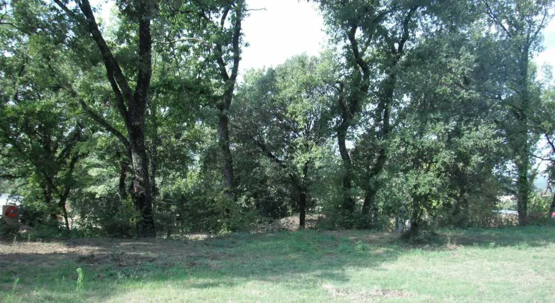 de-la-colline-st-paul-trois-chateaux-wzddj