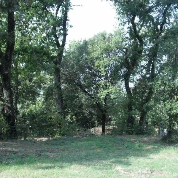 de-la-colline-st-paul-trois-chateaux-wzddj