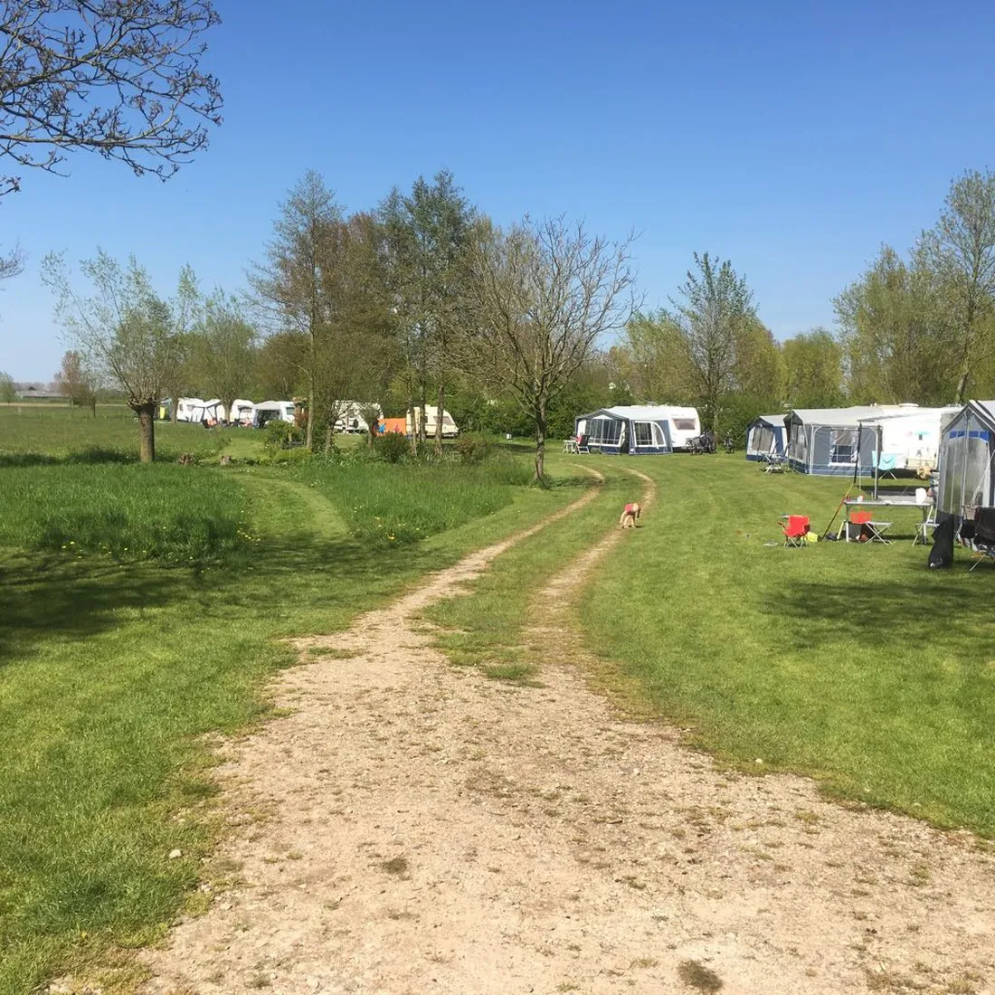 landschapscamping-t-lentinck-voorstonden-ty4dn