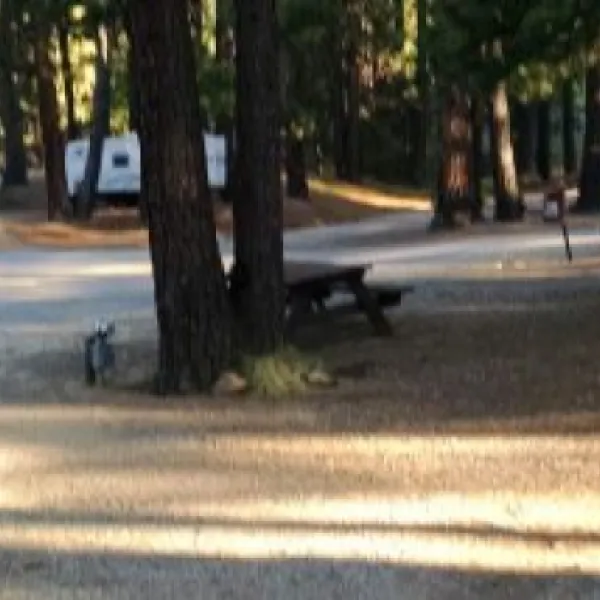 sierra-springs-rv-resort-1-1resx