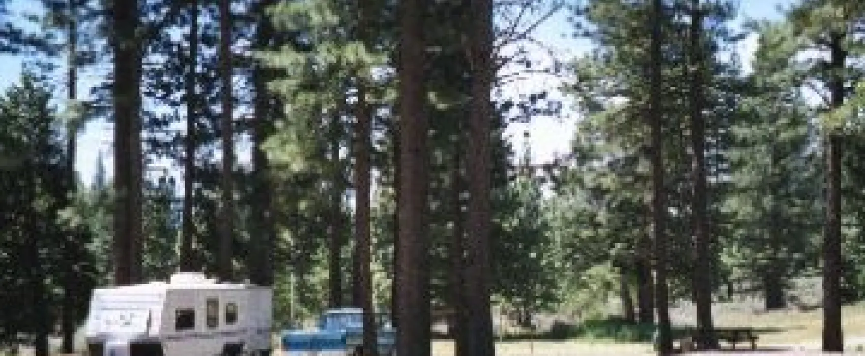 Sierra Springs Rv Resort