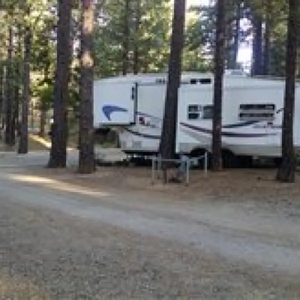 sierra-springs-rv-resort-1-cdraw