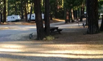 sierra-springs-rv-resort-1-xd1ar