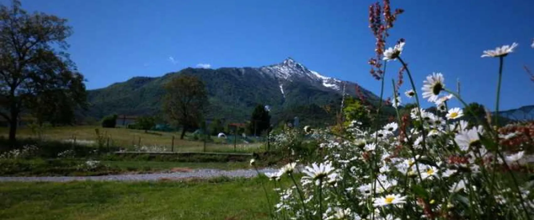 il Melo (in Peveragno)