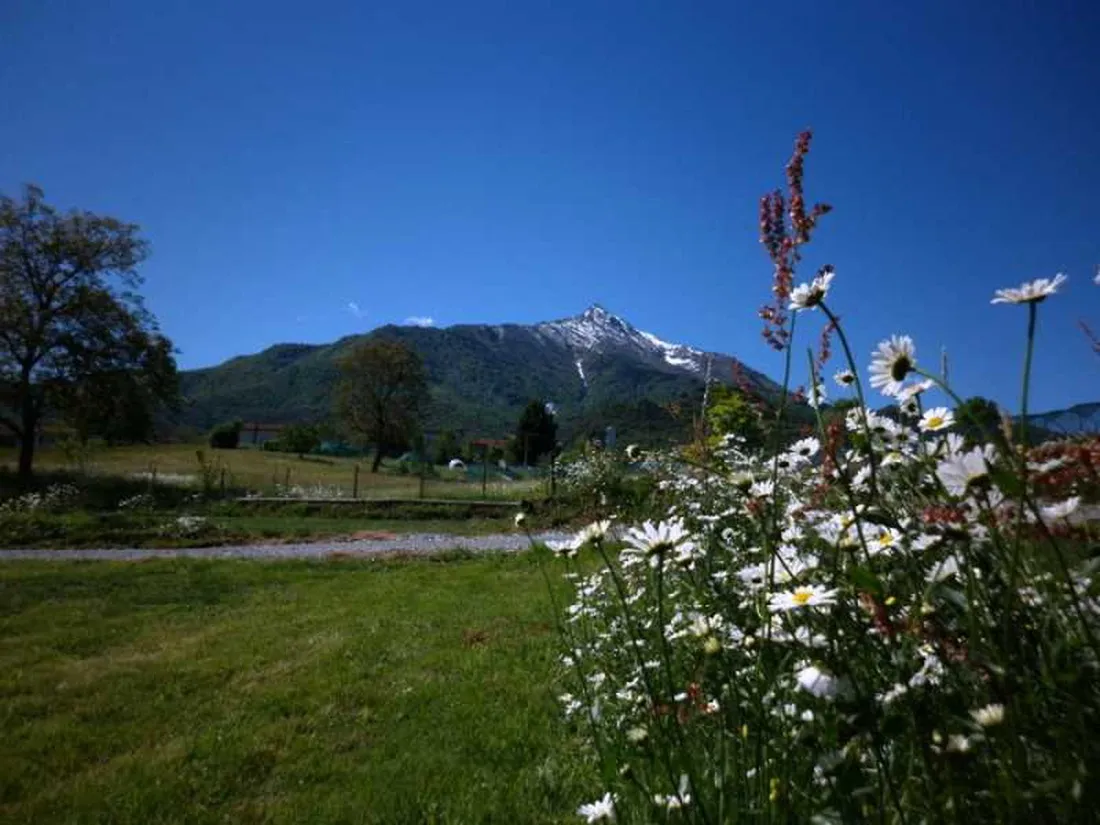 il-melo-in-peveragno-cuneo-t8x0h