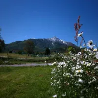 il-melo-in-peveragno-cuneo-t8x0h