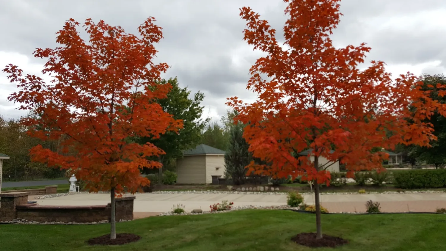 traverse-bay-rv-resort-williamsburg-86has