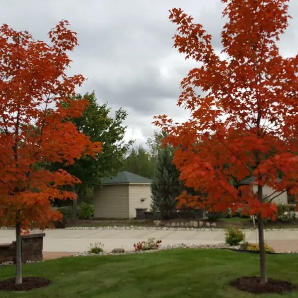 Traverse Bay RV Resort