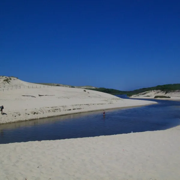 capfun-lila-linxe-landes-v6l7j