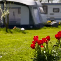 t-landleven-callantsoog-s12nt