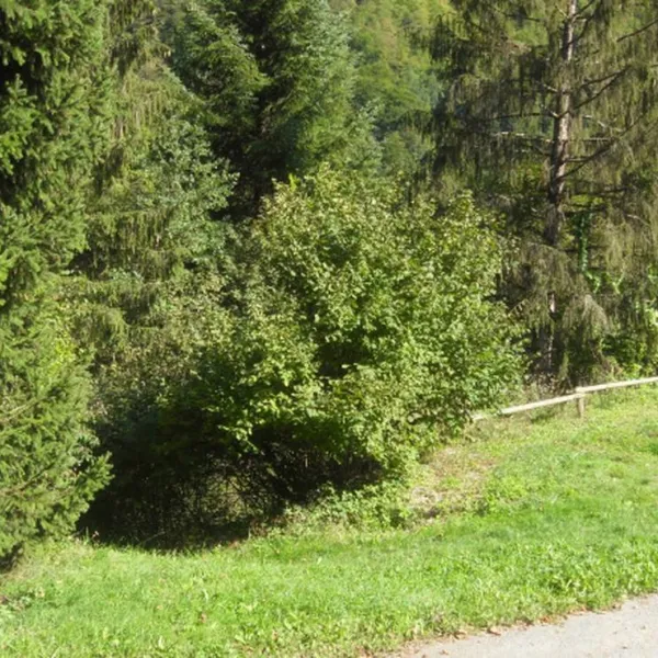 camping-municipal-de-la-baume-la-baume-2p6jz
