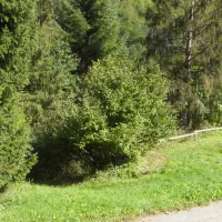 camping-municipal-de-la-baume-la-baume-2p6jz