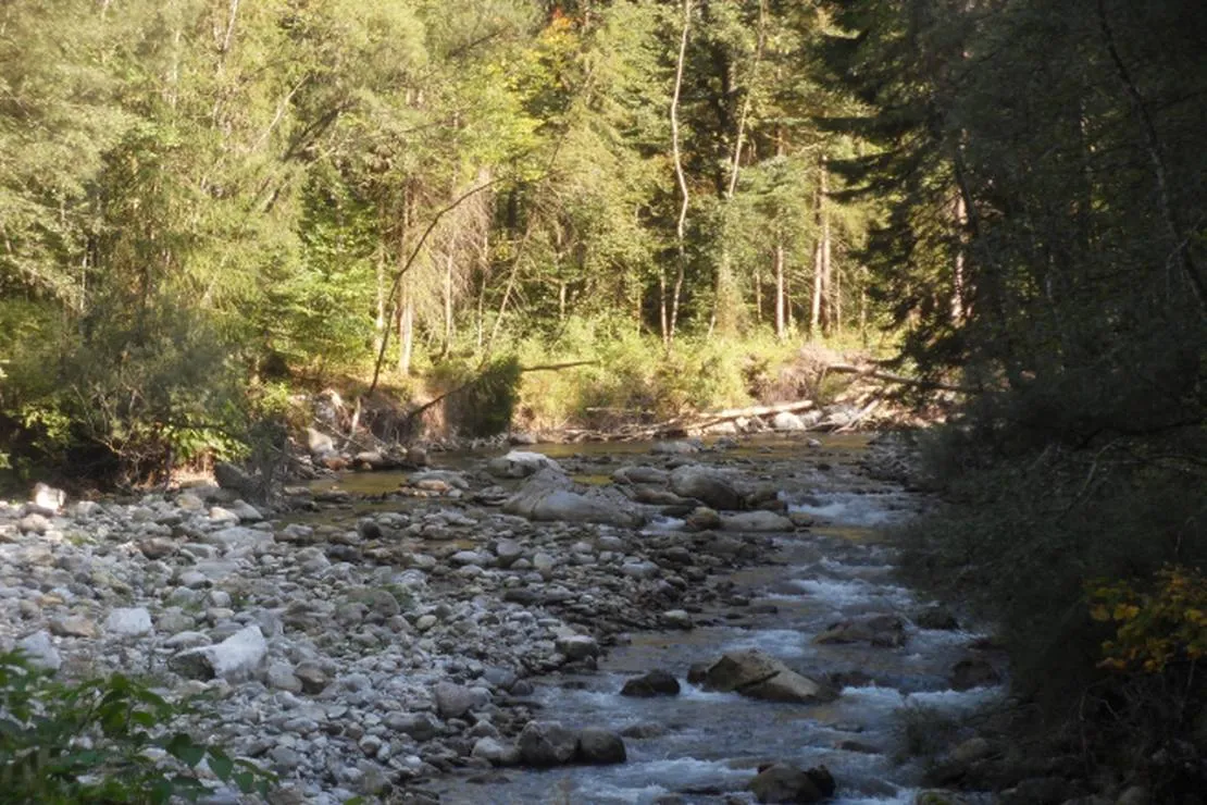 camping-municipal-de-la-baume-la-baume-xcpq4