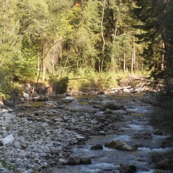 camping-municipal-de-la-baume-la-baume-xcpq4