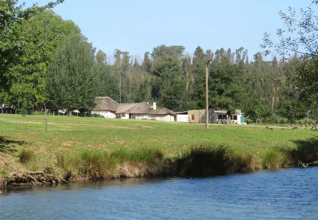 riverside-manor-rosetta-7yvyn