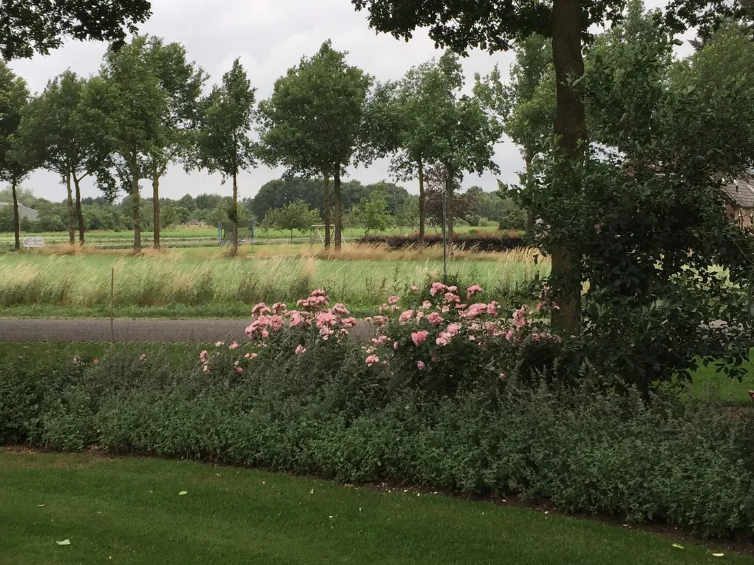 vakantieboerderij-erve-hesselink-winterswijk-knfbu