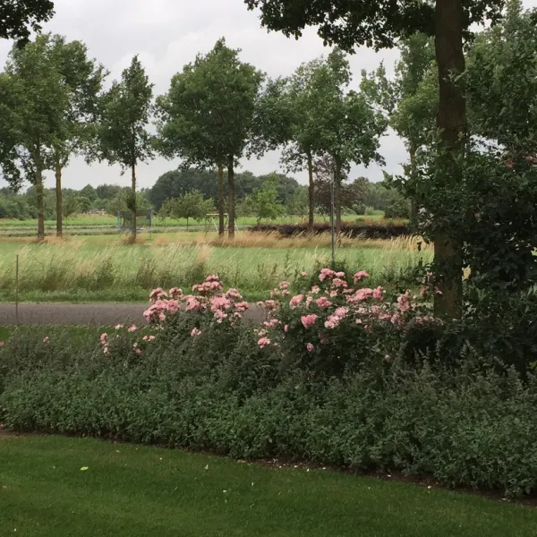 vakantieboerderij-erve-hesselink-winterswijk-knfbu