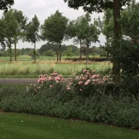vakantieboerderij-erve-hesselink-winterswijk-knfbu