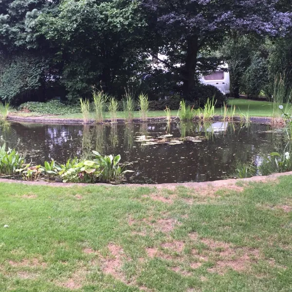 vakantieboerderij-erve-hesselink-winterswijk-vaia7