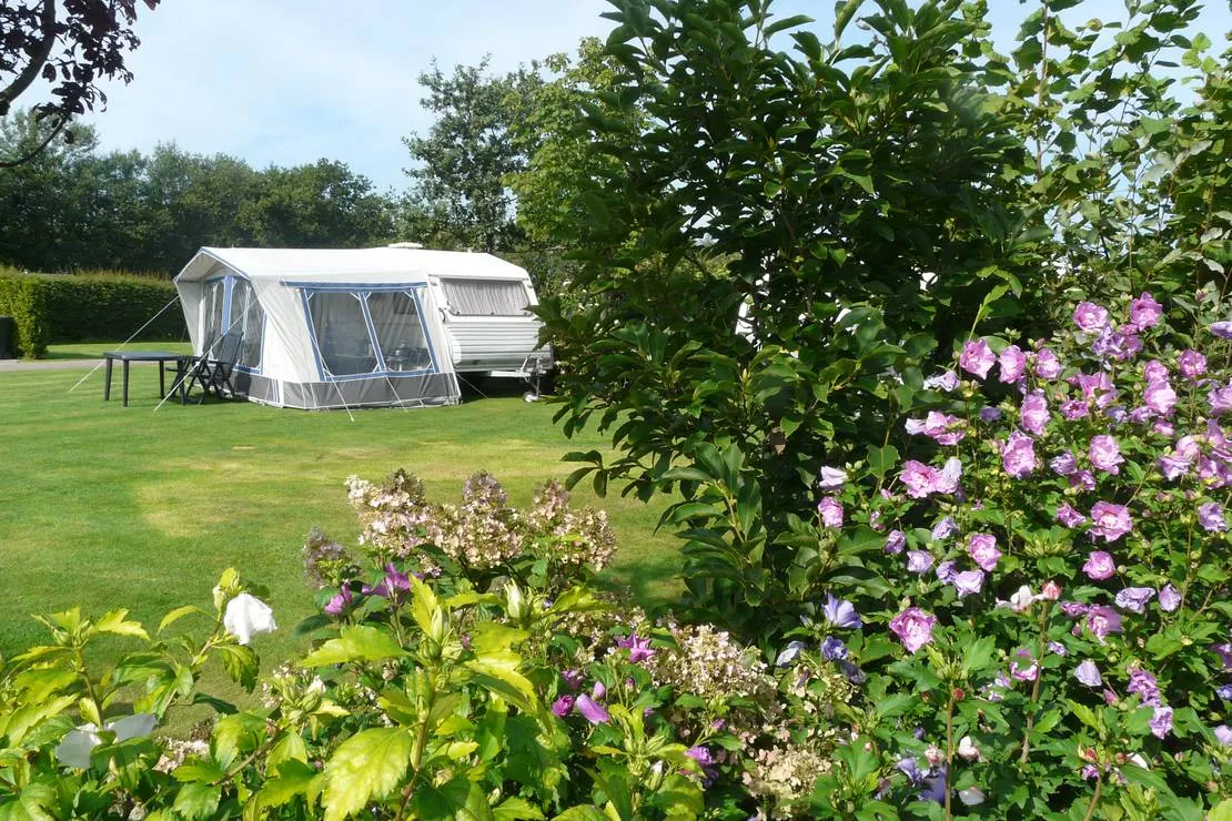 camping-de-wedze-twijzel-7mnes