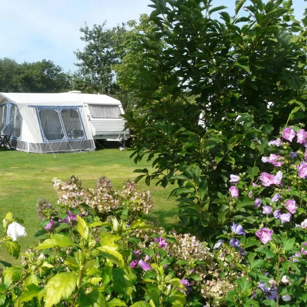 camping-de-wedze-twijzel-7mnes