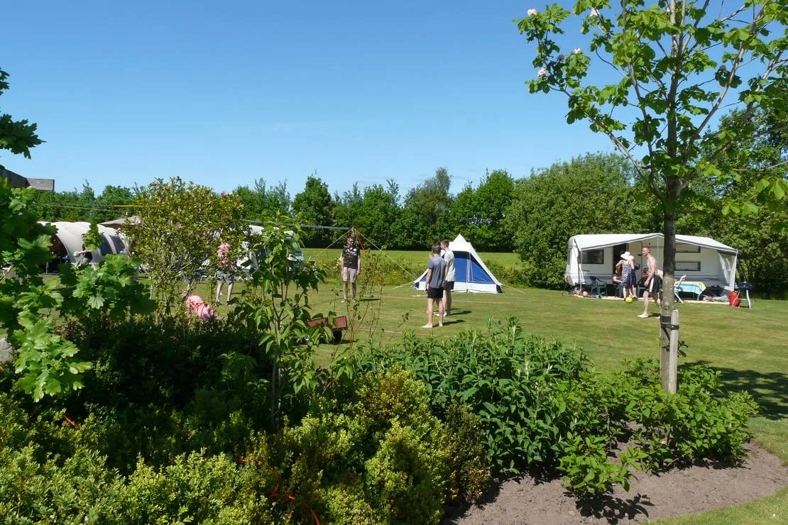 camping-de-wedze-twijzel-dvths