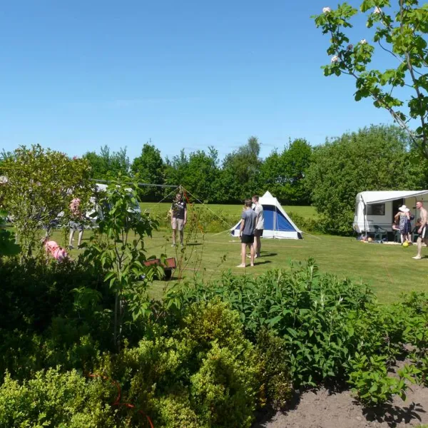 camping-de-wedze-twijzel-dvths