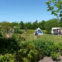 camping-de-wedze-twijzel-dvths