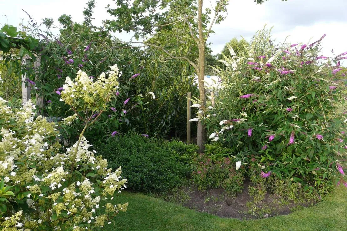 camping-de-wedze-twijzel-icqtm