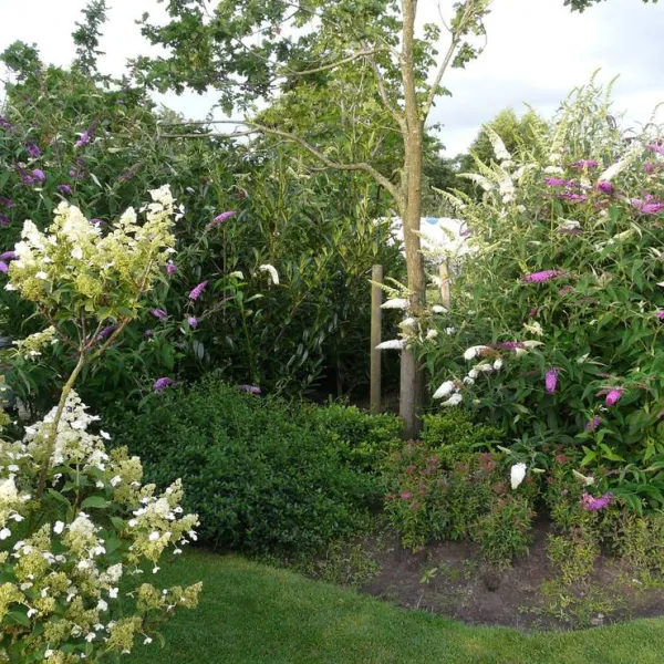 camping-de-wedze-twijzel-icqtm