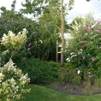 camping-de-wedze-twijzel-icqtm