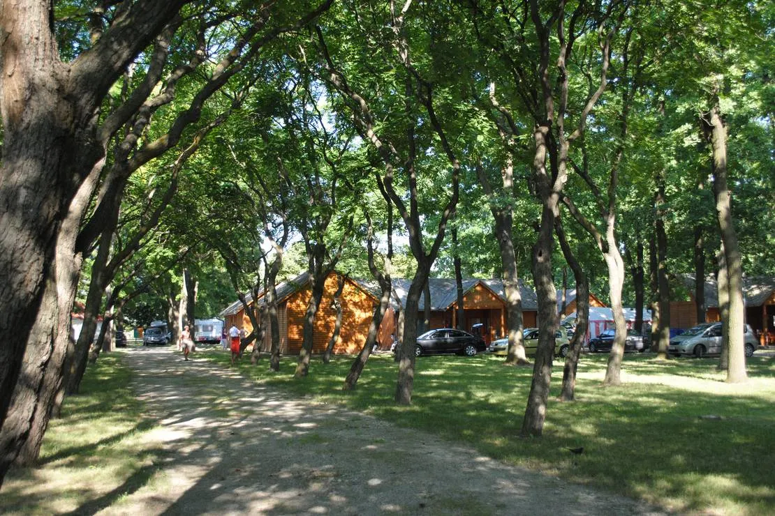 varosi-kemping-torokszentmiklos-eczvq