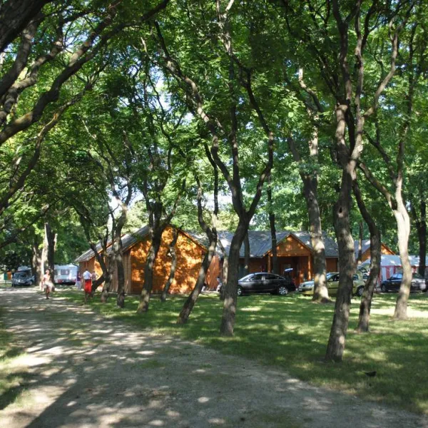 varosi-kemping-torokszentmiklos-eczvq