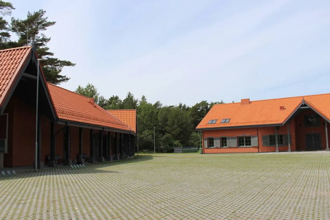 palanga-camping-compensa-nemerseta-palanga-pzbvt