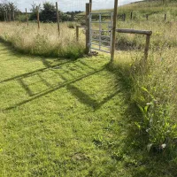 thamesview-camping-east-tilbury-village-essex-34fv2