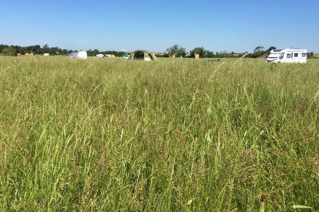 thamesview-camping-east-tilbury-village-essex-4ivbq