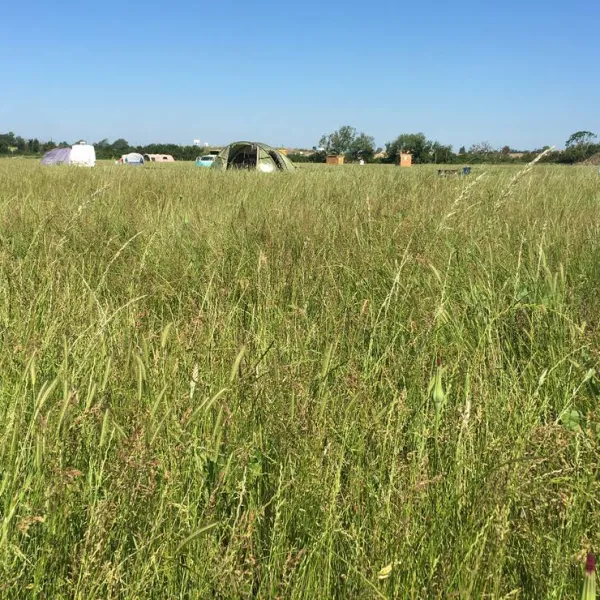 thamesview-camping-east-tilbury-village-essex-4ivbq