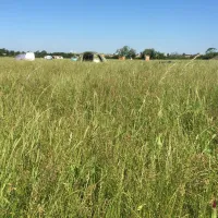 thamesview-camping-east-tilbury-village-essex-4ivbq