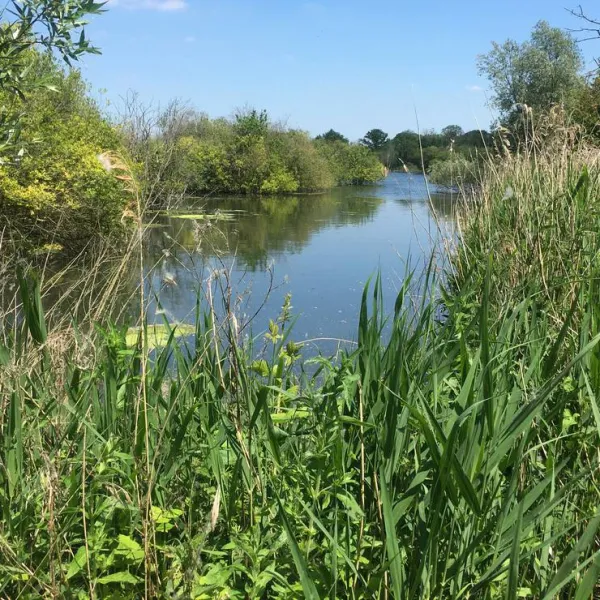 thamesview-camping-east-tilbury-village-essex-iuuoh