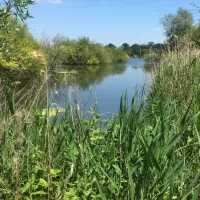 thamesview-camping-east-tilbury-village-essex-iuuoh