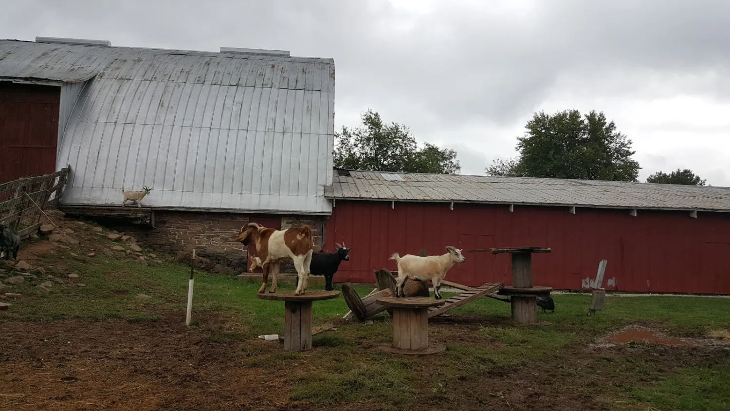 gettysburg-farm-rv-resort-dover-8uean