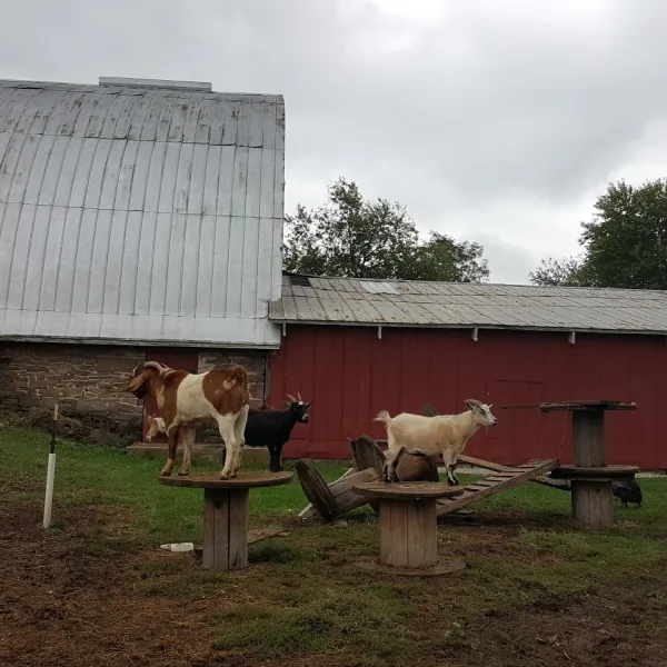 gettysburg-farm-rv-resort-dover-8uean