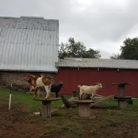 gettysburg-farm-rv-resort-dover-8uean