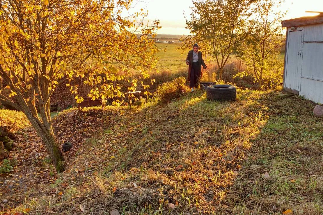 camping-pikkolovo-mozhayskoye-village-bfjzw